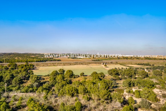 Resale - Apartment - Orihuela Costa - Campoamor