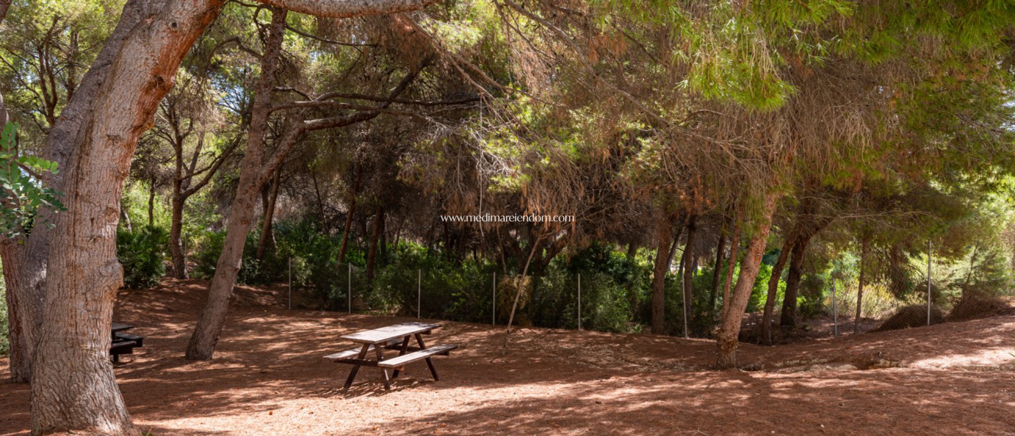 Resale - Apartment - Orihuela Costa - Campoamor