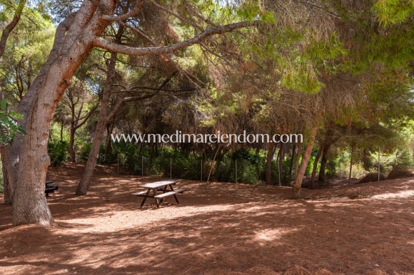 Resale - Apartment - Orihuela Costa - Campoamor