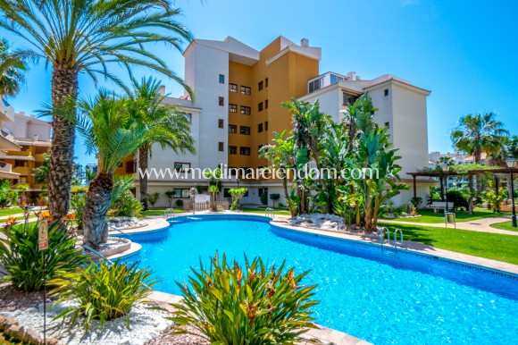 Resale - Apartment - Orihuela Costa - Punta Prima