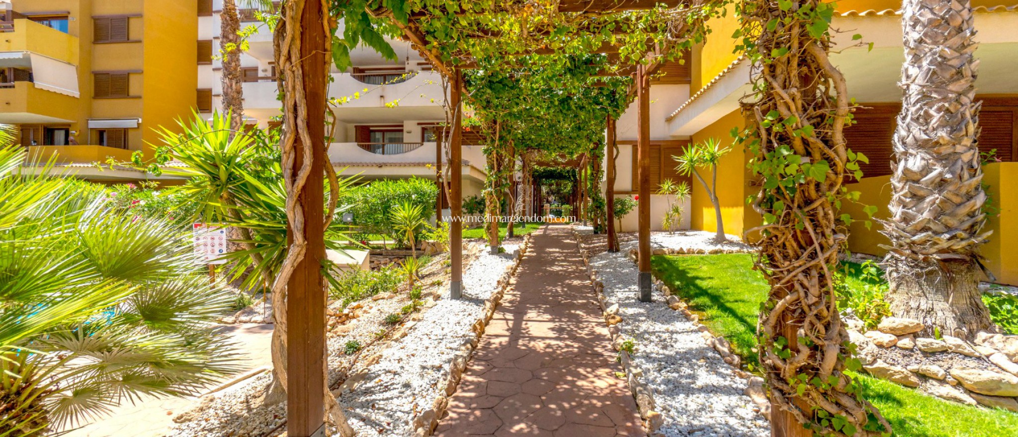 Resale - Apartment - Orihuela Costa - Punta Prima