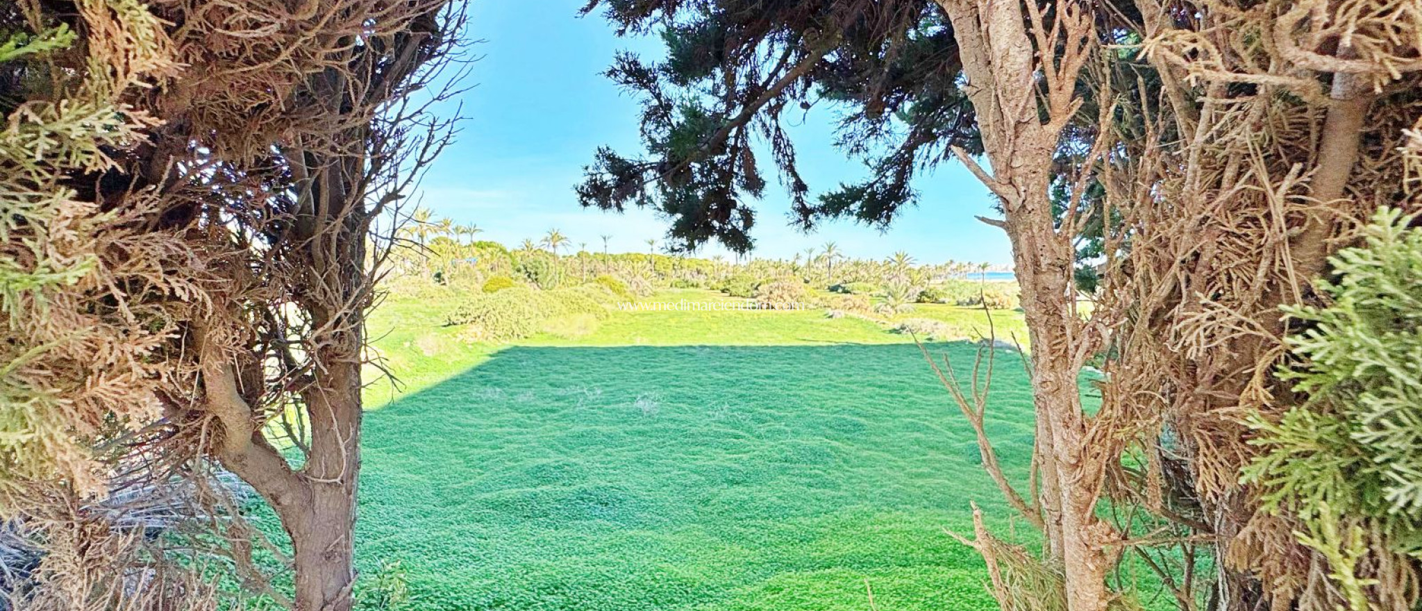 Resale - Apartment - Torrevieja - Rocio del Mar