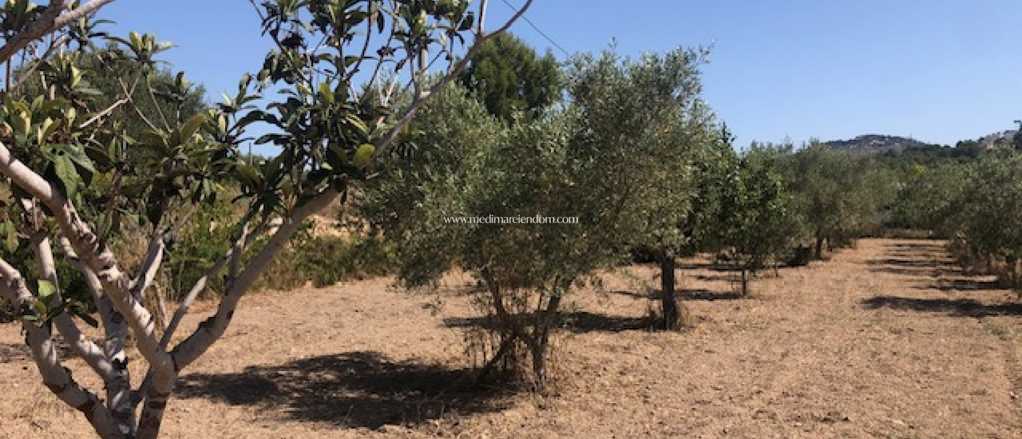 Resale - plot - Calpe - PLAYA COSTA
