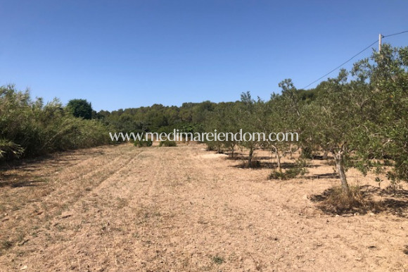 Resale - plot - Calpe - PLAYA COSTA