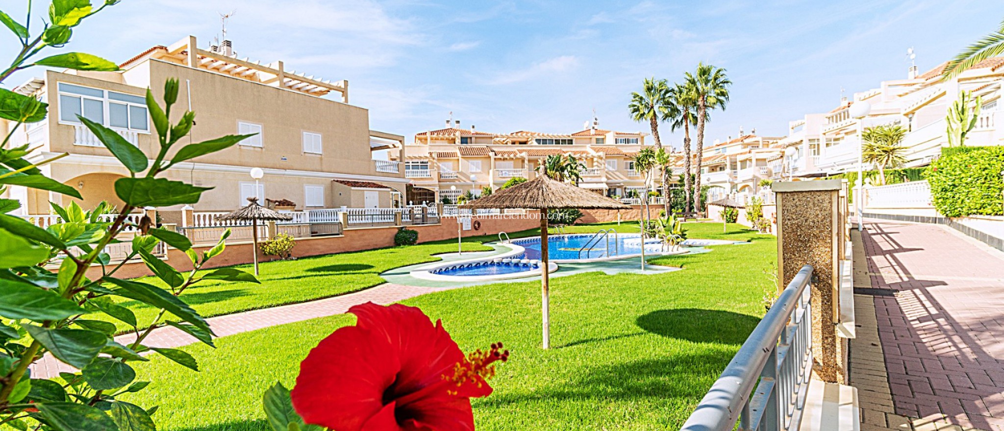 Resale - Town House - Orihuela Costa - Punta Prima