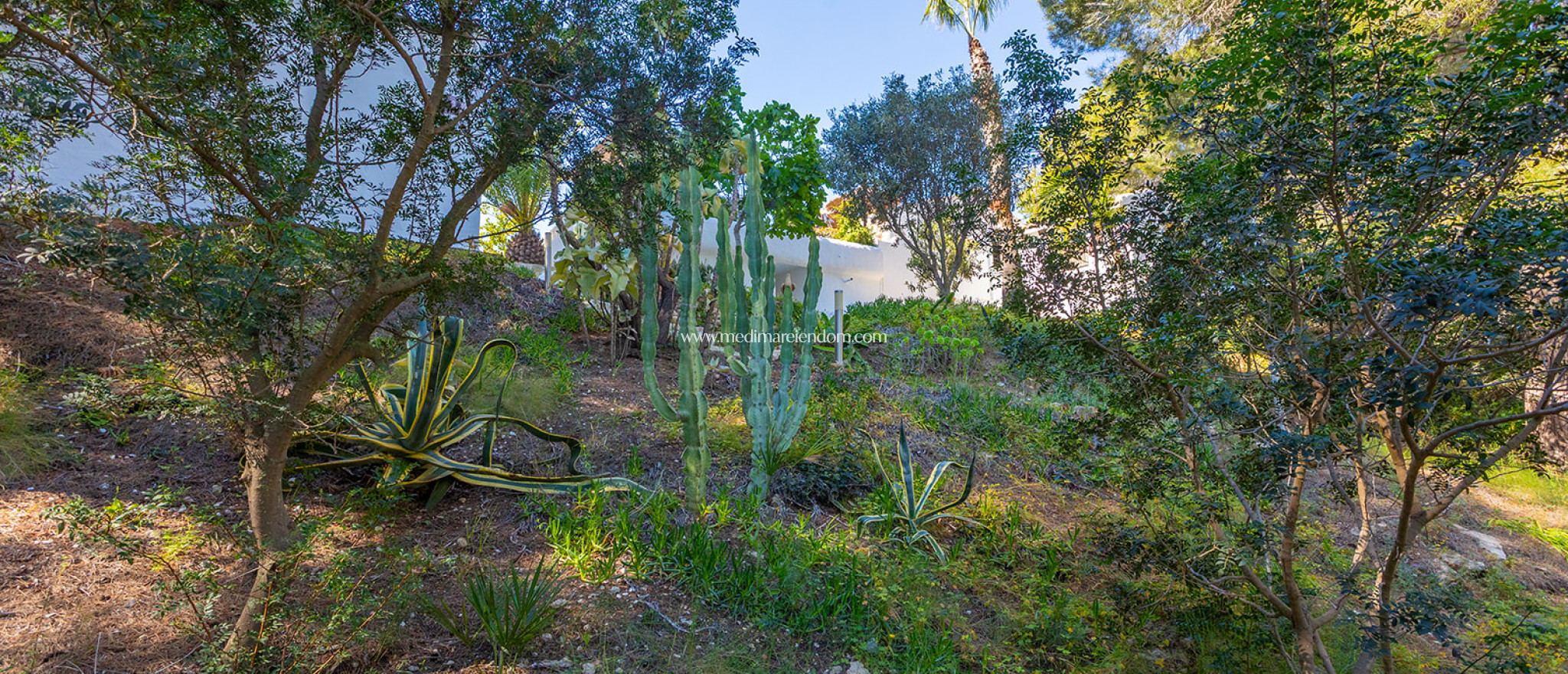 Resale - Villa - Orihuela - Orihuela Costa