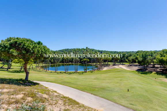 Resale - Villa - Orihuela - Villamartin