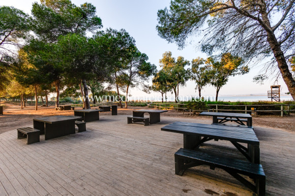 Resale - Villa - Torrevieja - El Chaparal