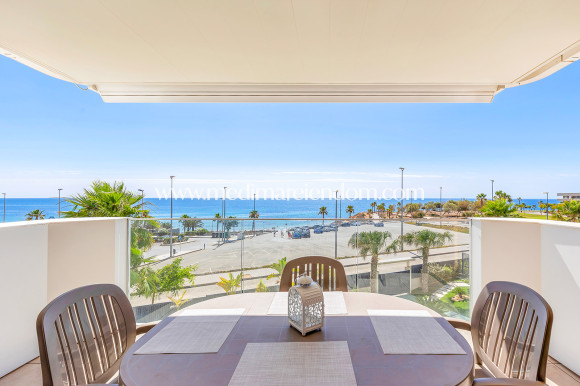 Reventa - Apartamento - Mil Palmeras