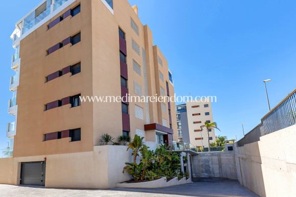 Reventa - Apartamento - Mil Palmeras