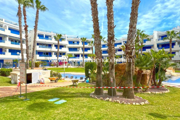 Reventa - Apartamento - Orihuela Costa - Playa Flamenca