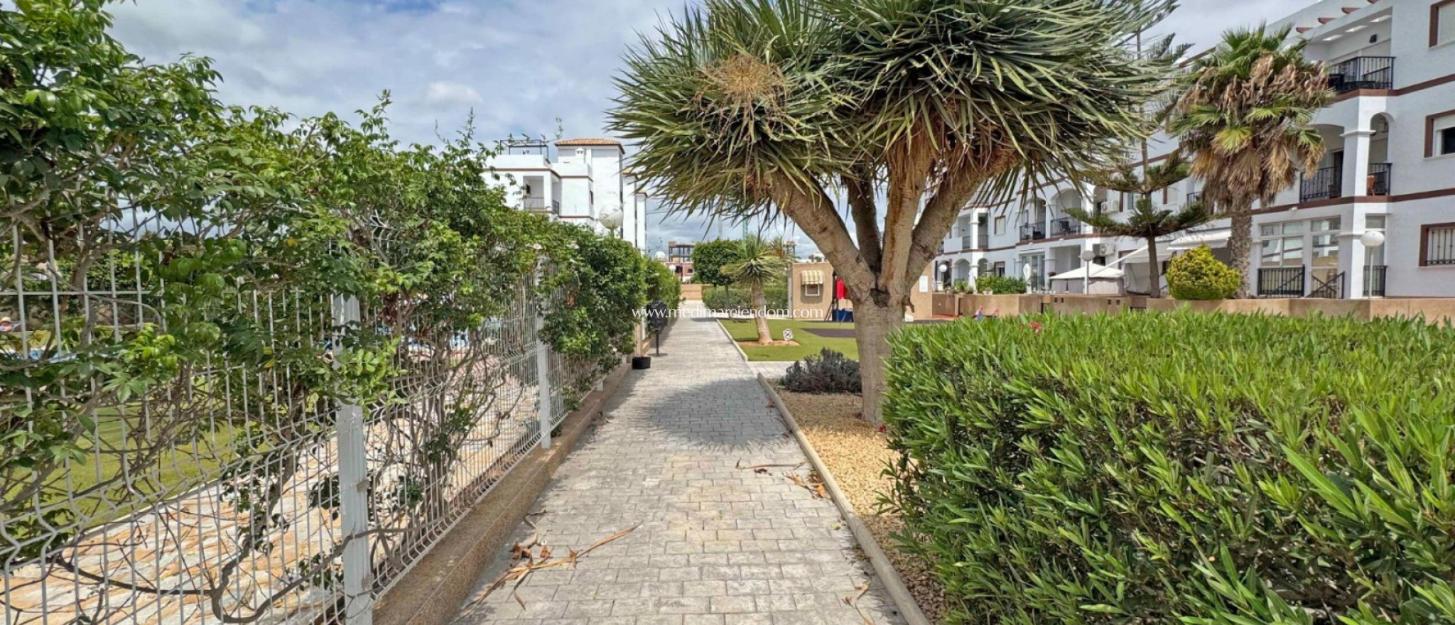 Reventa - Apartamento - Orihuela Costa - Punta Prima