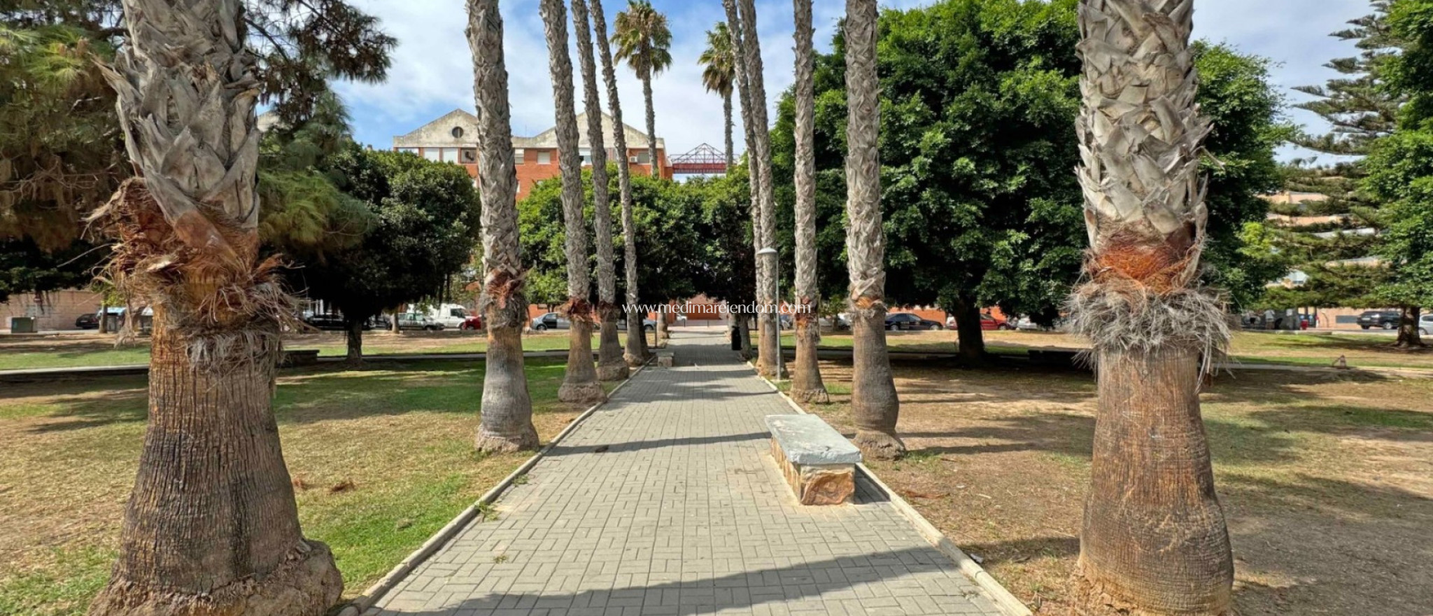 Reventa - Apartamento - Torrevieja - El Acequión - Los Náufragos