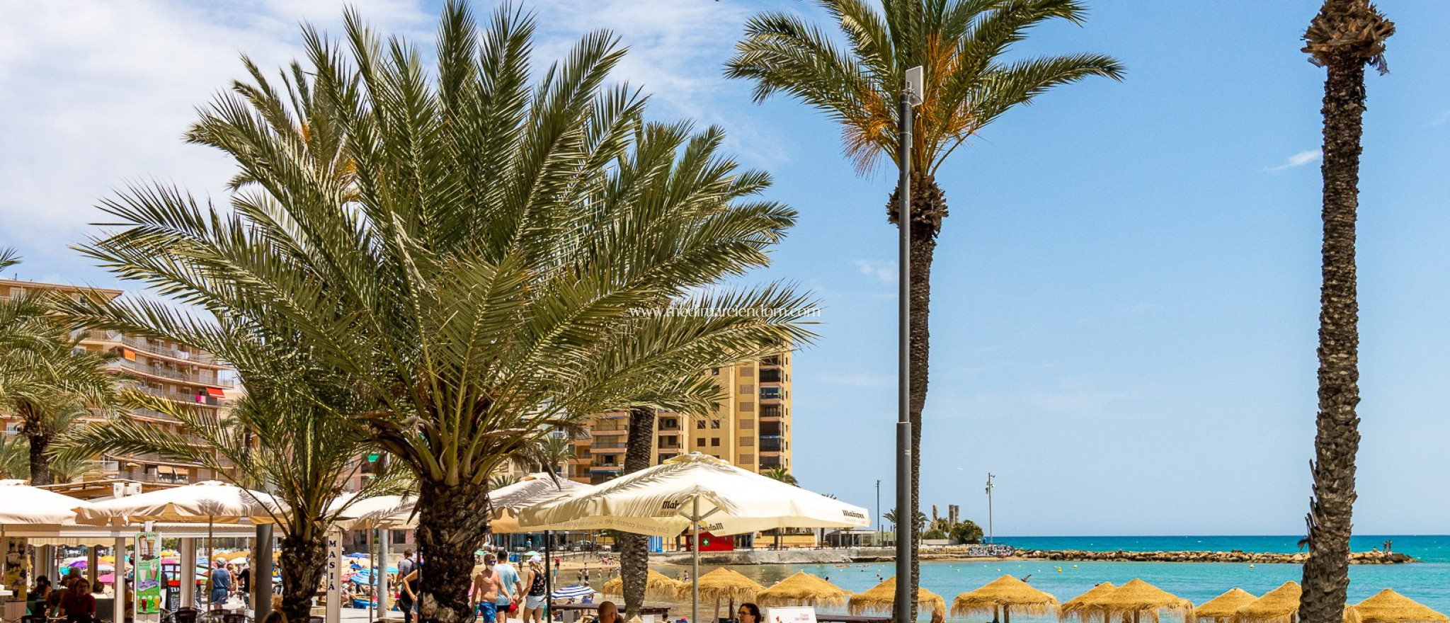 Reventa - Apartamento - Torrevieja - Playa De Los Locos