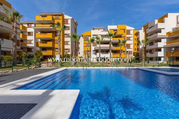 Reventa - Apartamento - Torrevieja - Punta Prima