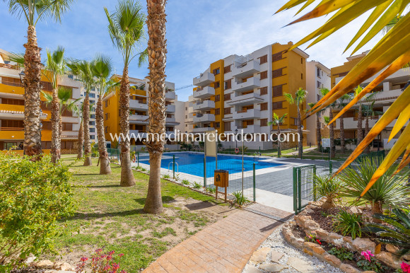 Reventa - Apartamento - Torrevieja - Punta Prima