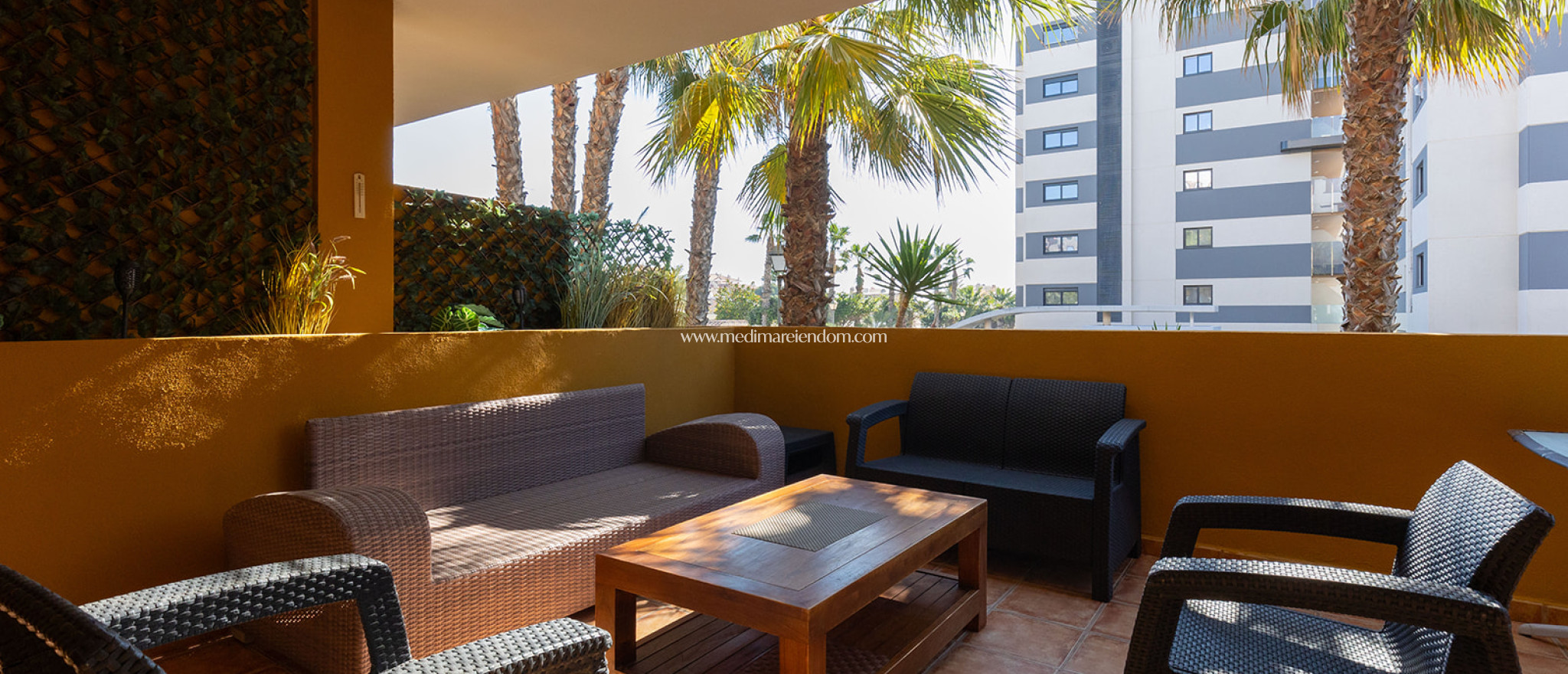 Reventa - Apartamento - Torrevieja - Punta Prima