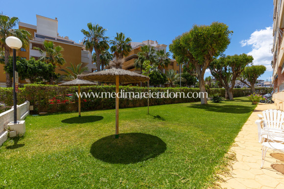 Reventa - Apartamento - Torrevieja - Rocio del Mar