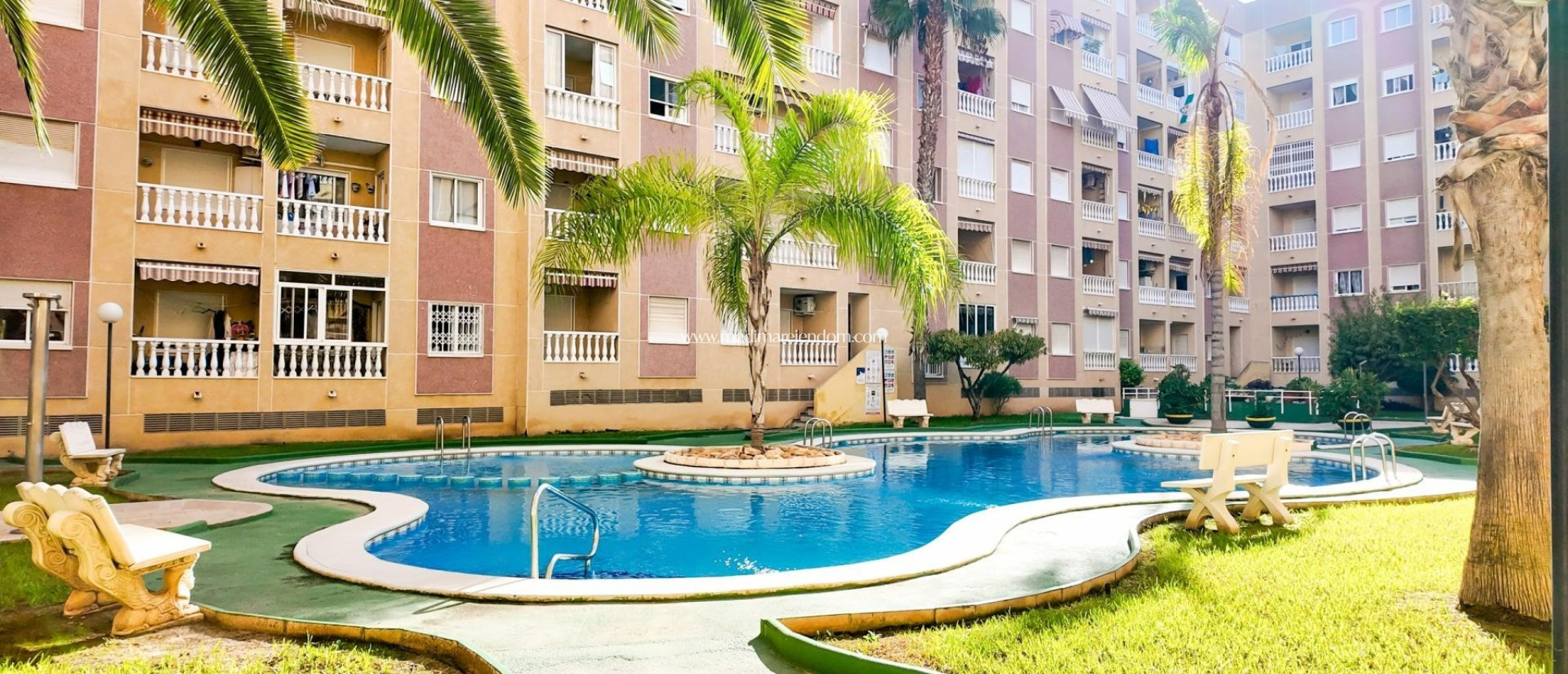 Reventa - Apartamento - Torrevieja