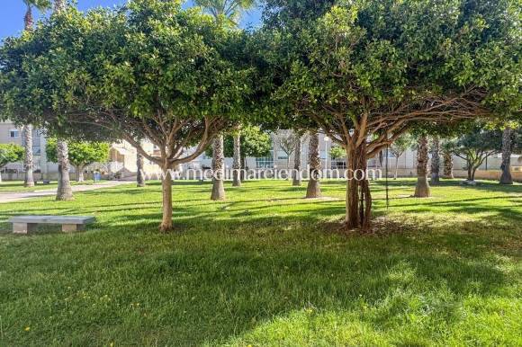 Reventa - Dúplex - Torrevieja - Nueva Torrevieja - Aguas Nuevas