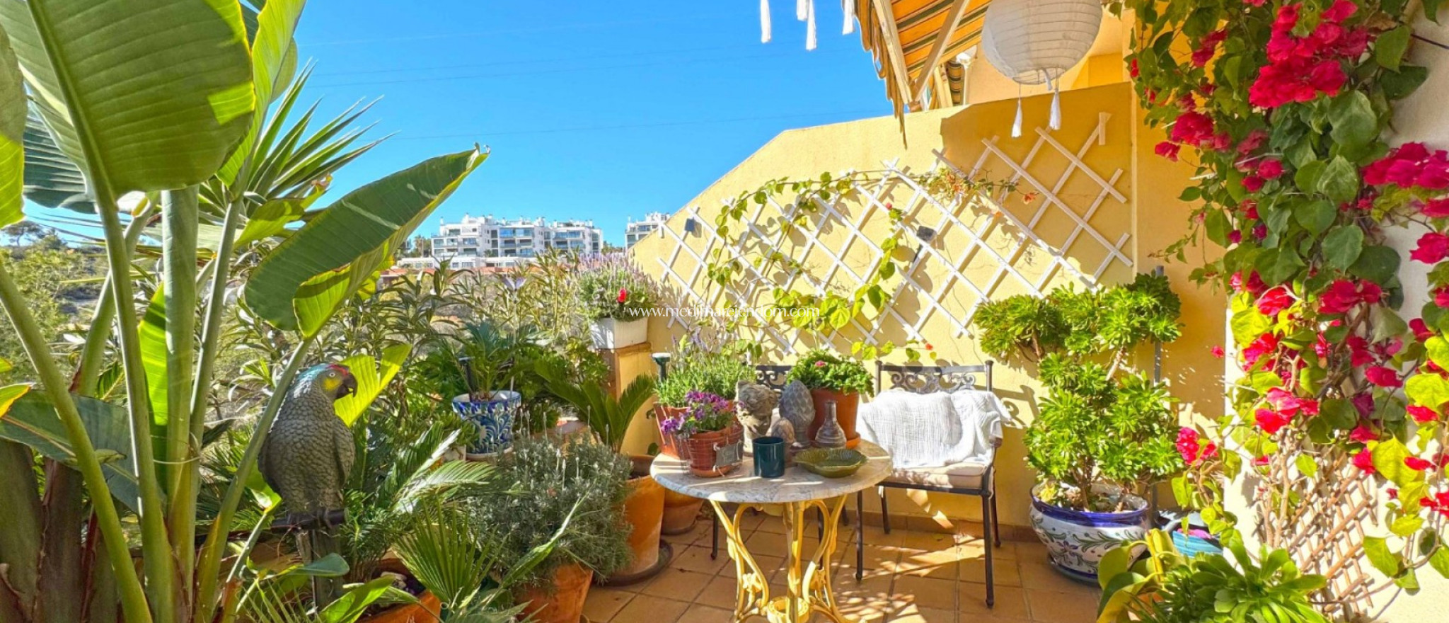 Reventa - Villa adosada - Orihuela Costa - Lomas de Campoamor