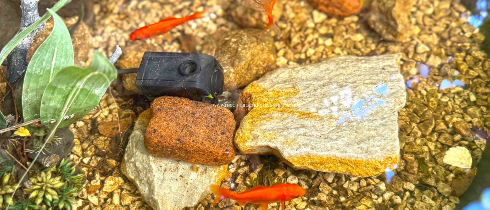 Reventa - Villa adosada - Orihuela Costa - Lomas de Campoamor