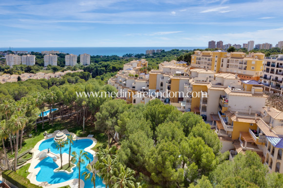 Revente - Appartement - Orihuela Costa - Campoamor