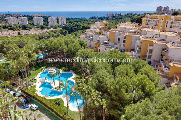Revente - Appartement - Orihuela Costa - Campoamor