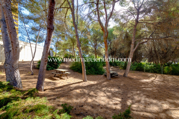 Revente - Appartement - Orihuela Costa - Campoamor