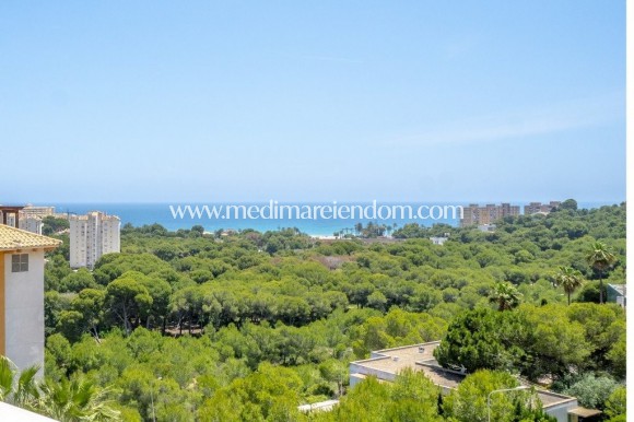 Revente - Appartement - Orihuela Costa - Campoamor