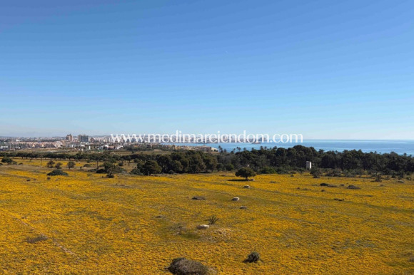Revente - Appartement - Orihuela Costa - Punta Prima