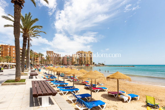 Revente - Appartement - Torrevieja - Playa De Los Locos