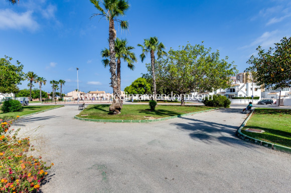 Revente - Appartement - Torrevieja - Playa De Los Locos