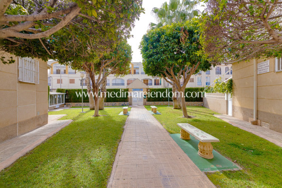 Revente - Appartement - Torrevieja - Playa Del Cura