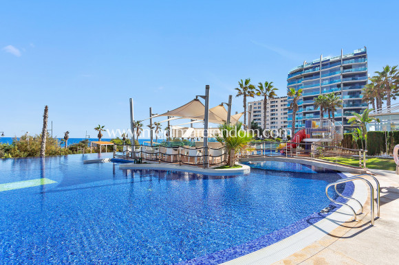 Revente - Appartement - Torrevieja - Punta Prima