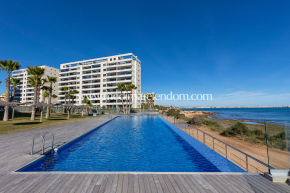 Revente - Appartement - Torrevieja - Punta Prima