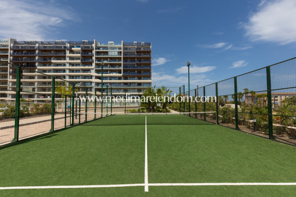 Revente - Appartement - Torrevieja - Punta Prima