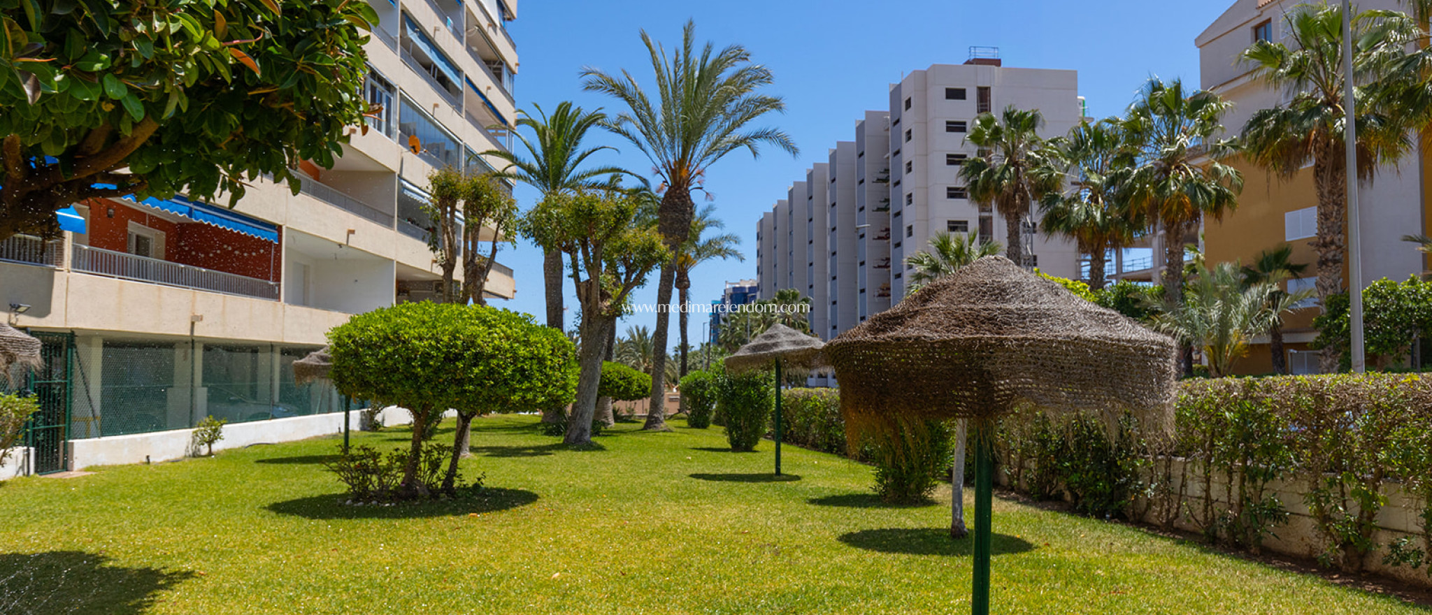 Revente - Appartement - Torrevieja - Rocio del Mar