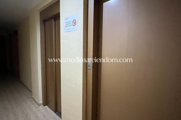 Revente - Appartement - Torrevieja