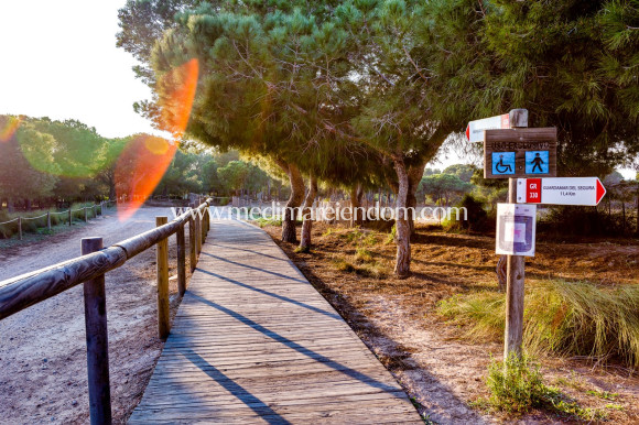 Revente - Maison Mitoyenne - Torrevieja - Torretas