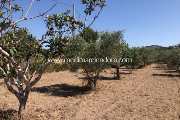 Revente - Parcelle - Calpe - PLAYA COSTA