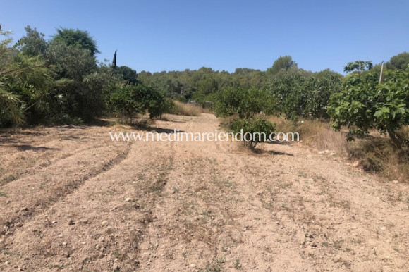 Revente - Parcelle - Calpe - PLAYA COSTA