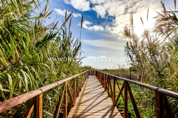 Revente - Villa - Formentera del Segura - Formentera De Segura