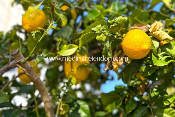 Revente - Villa individuelle - Orihuela Costa - Villamartín