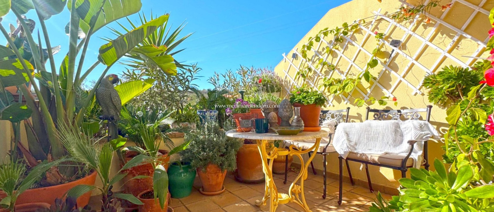 Revente - Villa jumelée - Orihuela Costa - Lomas de Campoamor