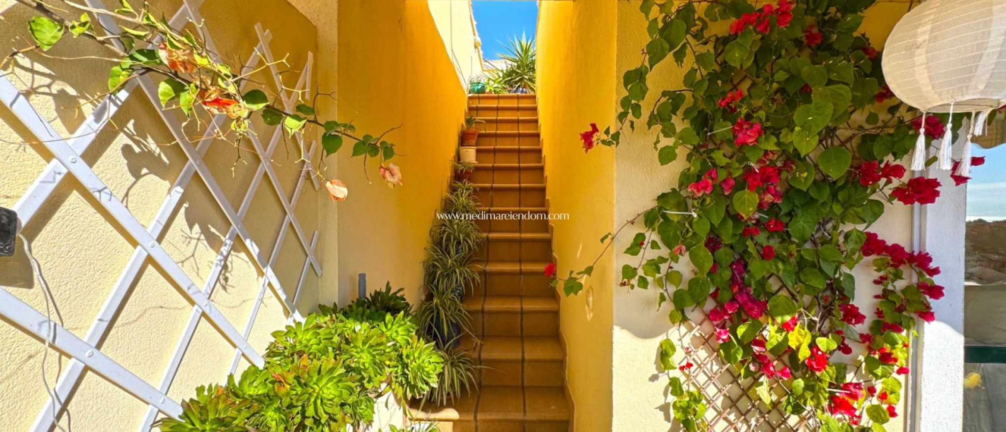 Revente - Villa jumelée - Orihuela Costa - Lomas de Campoamor