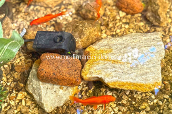 Revente - Villa jumelée - Orihuela Costa - Lomas de Campoamor