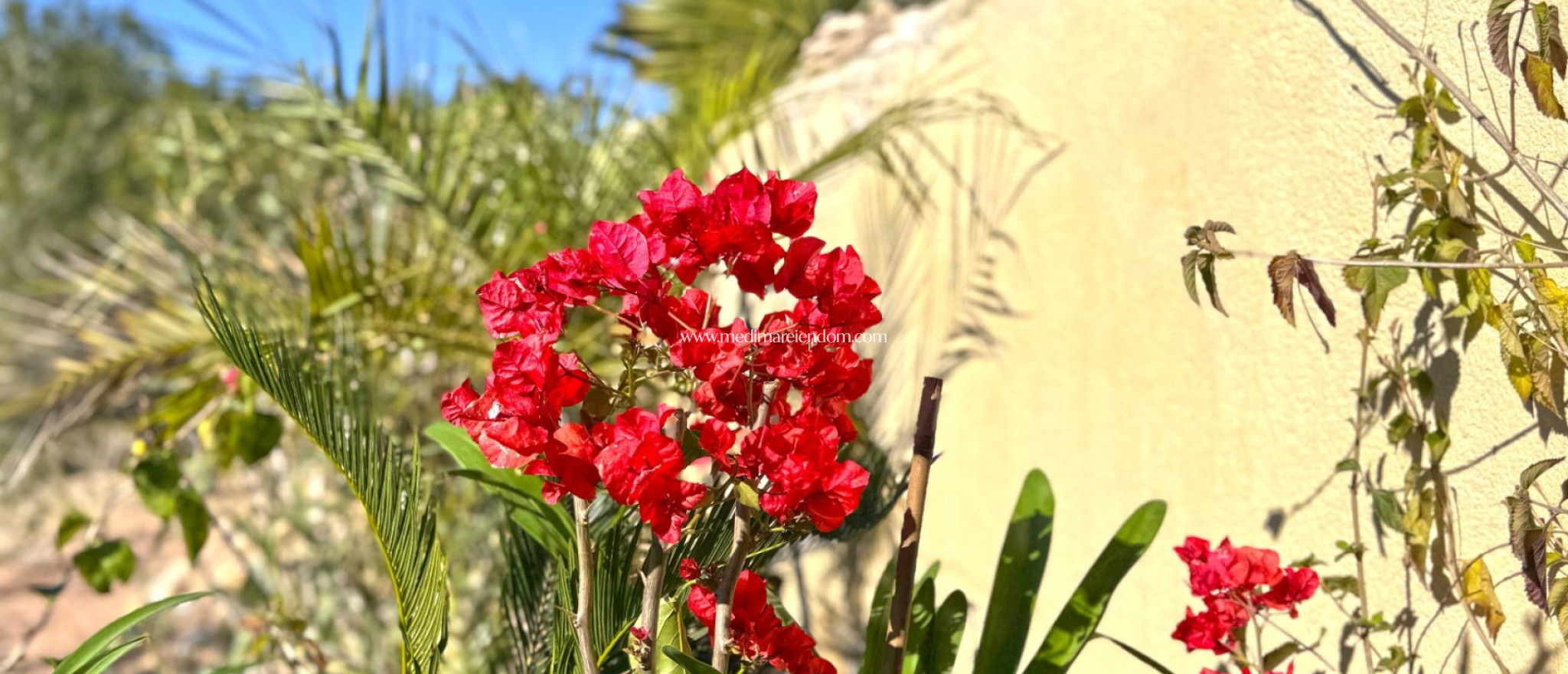 Revente - Villa jumelée - Orihuela Costa - Lomas de Campoamor