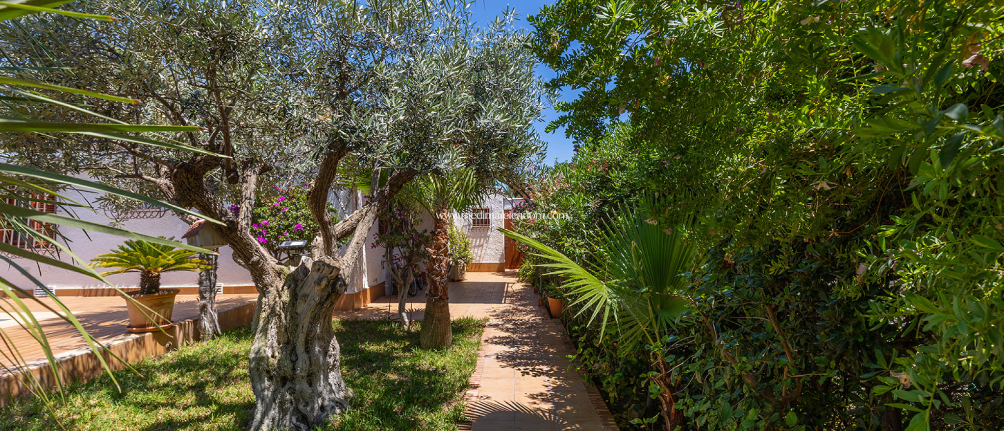 Revente - Villa - Orihuela - Orihuela Costa