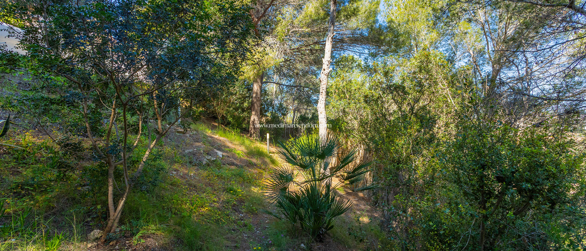 Revente - Villa - Orihuela - Orihuela Costa